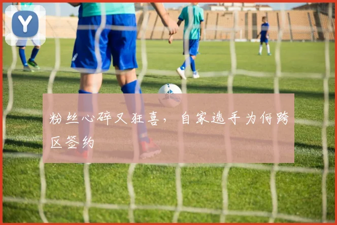 粉丝心碎又狂喜,自家选手为何跨区签约